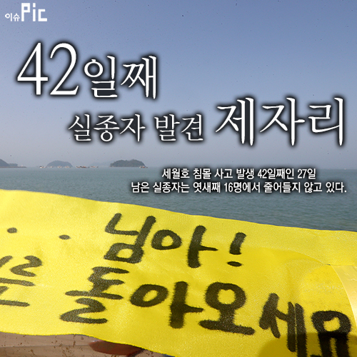<세월호참사> 침몰 42일째…실종자 16명서 제자리 - 1