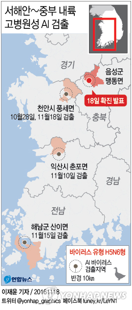 中 휩쓸었던 H5N6형 AI 국내 첫 발생…'서해안 벨트' 확산 우려 - 3