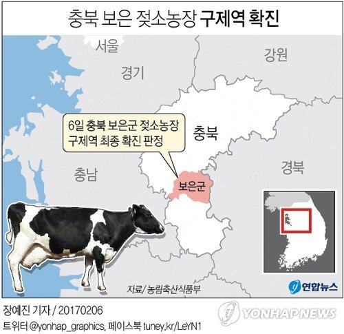 충북 보은 젖소농장 구제역 확진…"일시 이동중지 검토" - 2