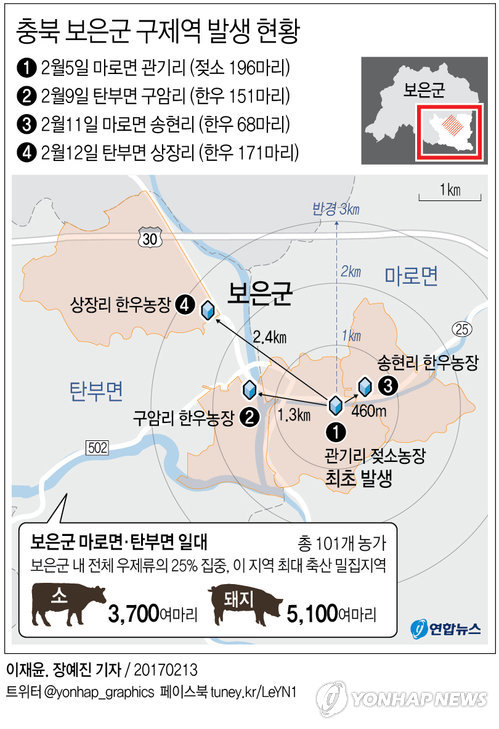 2.4㎞까지 번진 구제역 바이러스…충북 보은 통제불능 되나 - 1