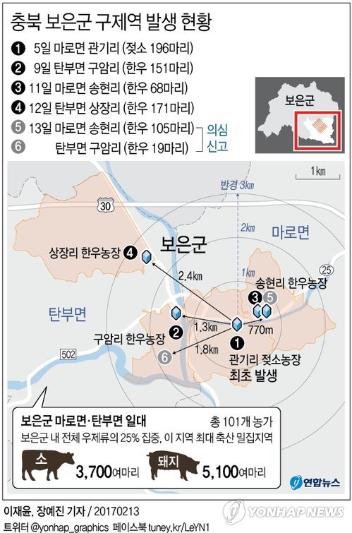 "소·돼지 9천마리 씨 마르겠네"…충북 보은 '구제역 공포' - 1
