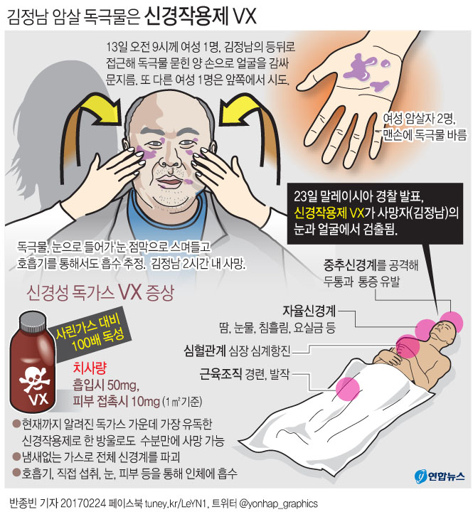 "北, VX 등 신경작용제만 6종 보유 추정" - 2