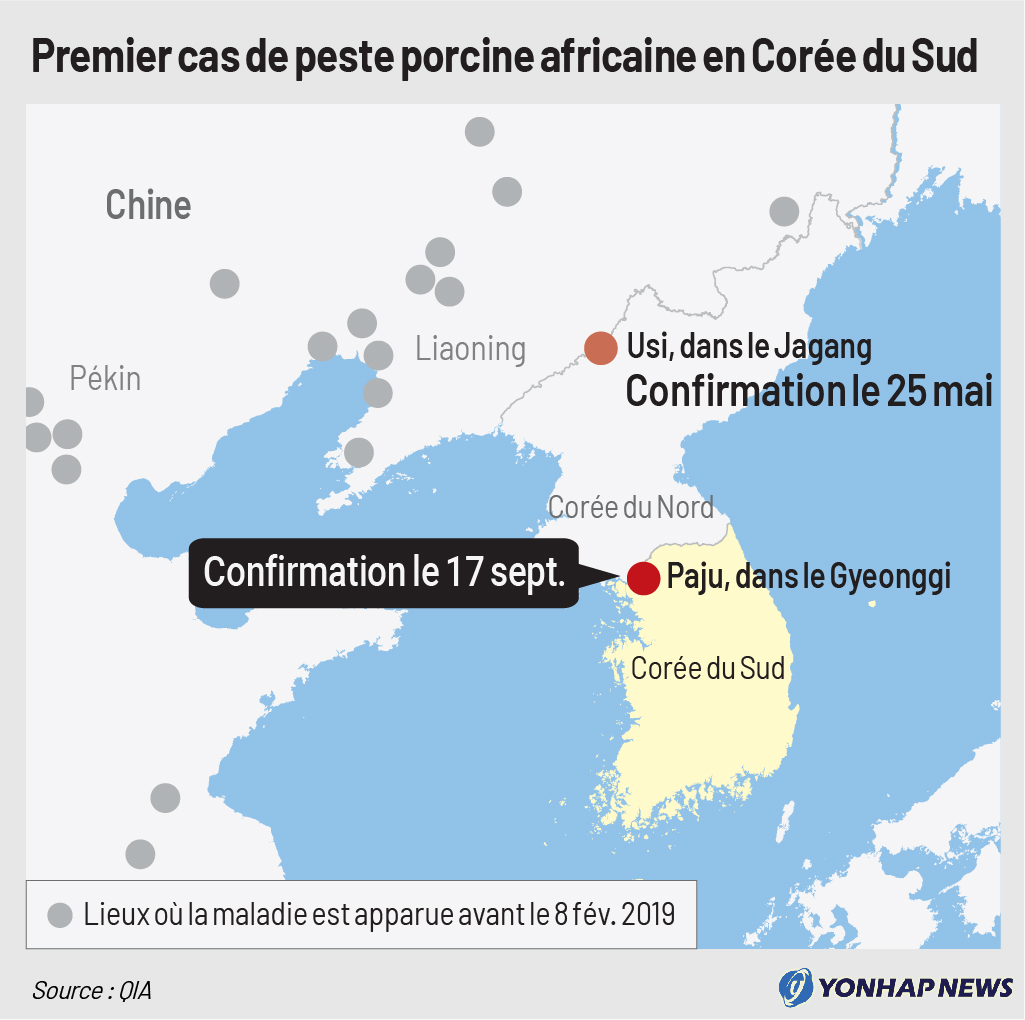 Premier cas de peste porcine africaine en Corée du Sud Premier cas de peste porcine africaine en Corée du Sud