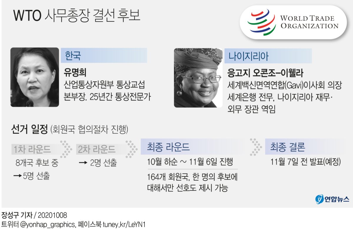 EU 놓쳐 불리해진 WTO선거…정부 "마지막 후속 협의에 최선"(종합) - 2