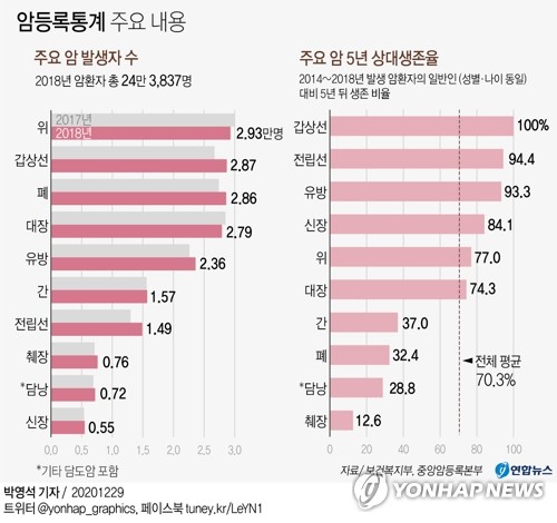 그래픽 암등록통계 주요 내용 연합뉴스