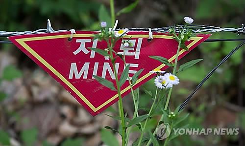 This file photo taken June 2013 shows a mine warning sign inside the Demilitarized Zone in Yeoncheon County, 60 kilometers north of Seoul. (Yonhap)