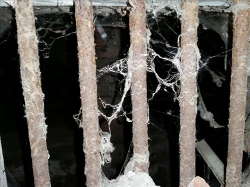 [단독]이육사 순국한 日지하감옥, 베이징에 여전히 존재 - 5