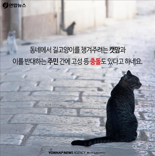 <카드뉴스> "민폐 동물에 왜 먹이 주나요"…캣맘 두고 갑론을박 - 5