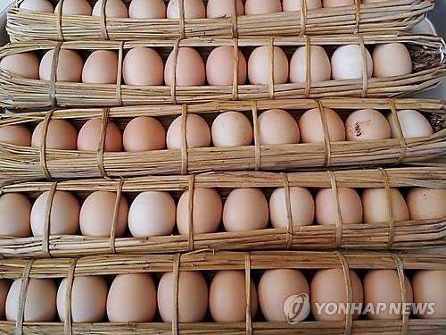 "계란 '당뇨병·고콜레스테롤' 누명 벗었다" - 2