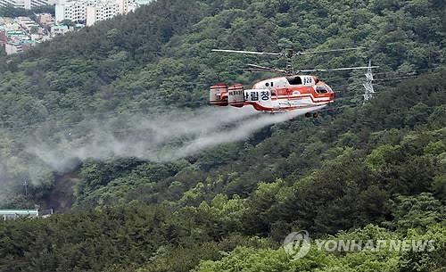 소나무 재선충 청주까지 '북상'…산림당국 '비상' - 2