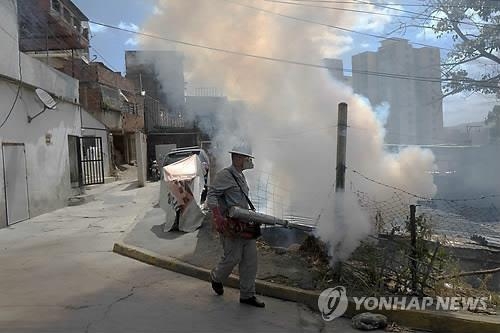 경제난 베네수엘라 지카대응 '총체적 난국'…"약도 의사도 없어" - 4