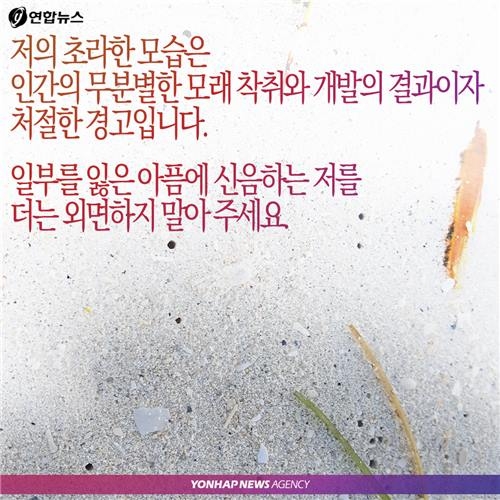 <카드뉴스> '꽃지의 경고', 그 많던 모래는 누가 가져갔을까 - 10