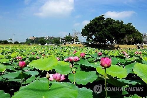 '최치원 재조명'…정읍시 '피향정 상연지' 복원 추진 - 2