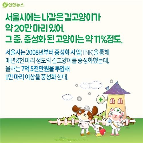 <카드뉴스> "나 수술받는다, 냥!"…길고양이의 서울살이 애환 - 5