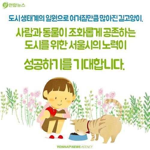 <카드뉴스> "나 수술받는다, 냥!"…길고양이의 서울살이 애환 - 12