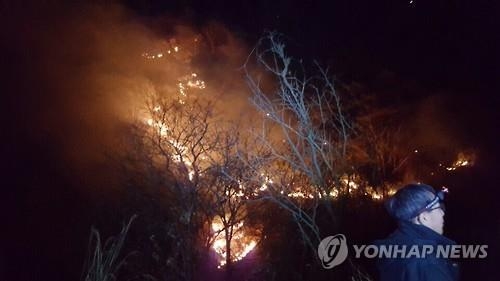 소백산 화재 진압 '악전고투'…완전진화까지 27시간 걸려(종합2보) - 5