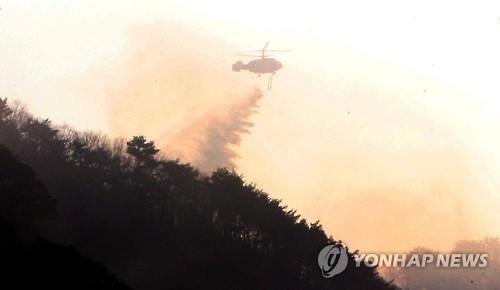 청명·한식 앞두고 잇단 산불…주말 산불 감시 '총동원령'(종합) - 2
