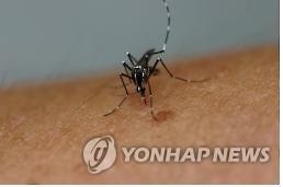 푸에르토리코서 지카 사망자 나와…미국 영토서는 처음 - 2