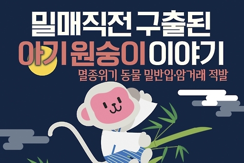 <카드뉴스> 밀매직전 구출된 아기 원숭이 이야기 - 1