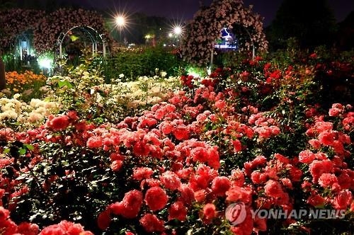 모처럼 옅어진 미세먼지…축제장·관광지 나들이 인파 넘쳤다(종합) - 4