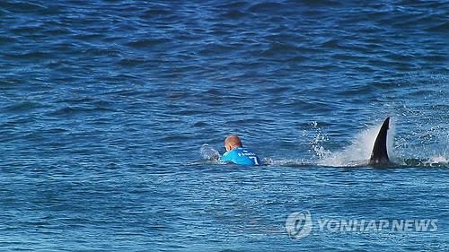 상어 공격받은 호주 서퍼 사망…2010년 이후 9명째 - 2