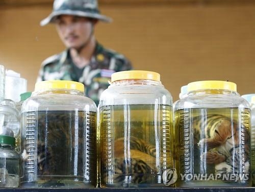 태국 경찰, '호랑이 무덤' 사원 수사…도축장 의심 시설 발견(종합) - 3