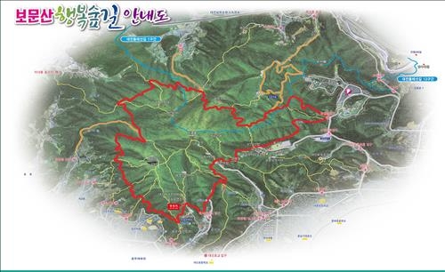 대전 보문산 '행복숲길' 걸어 보세요…14일 개통 - 2