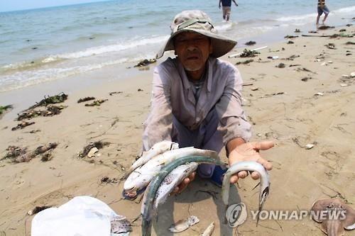 베트남에 퍼지는 수산물 '불안'…일부 생선서 페놀 검출 - 2
