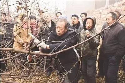 '빈곤퇴치' 중국 지도부, '모범' 농업학자 '띄우기' - 2