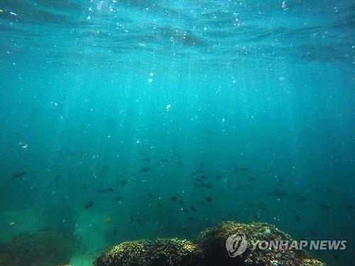 호주 토종 설치류 멸종 첫 확인…기후변화가 주원인 - 2