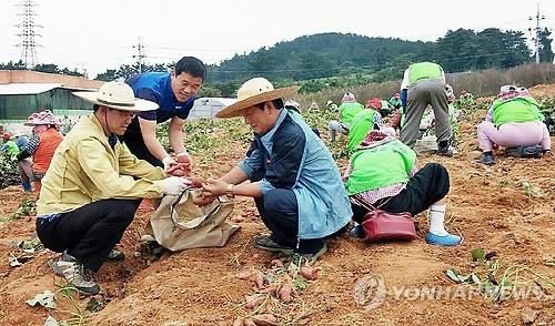 가격 폭락 걱정 없이 농사 진다…전북도 최저가격제 도입 - 3