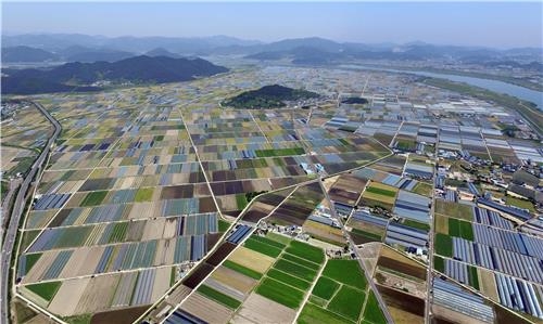 밀양 신공항 후보지 주민 '시원섭섭'…외지 투기꾼 '쪽박' - 6