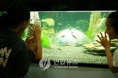전주자연생태박물관 리모델링…7∼12월 휴관 - 2