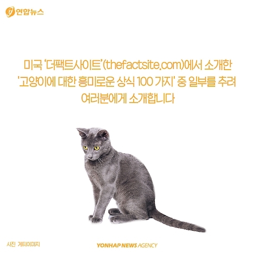 <카드뉴스> 고양이에 대해 모르고 있던 사실 '7가지' - 2