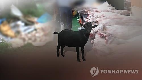 여름 보양철 되니…'국산염소'로 속여 파는 얄팍한 상혼 고개 - 2