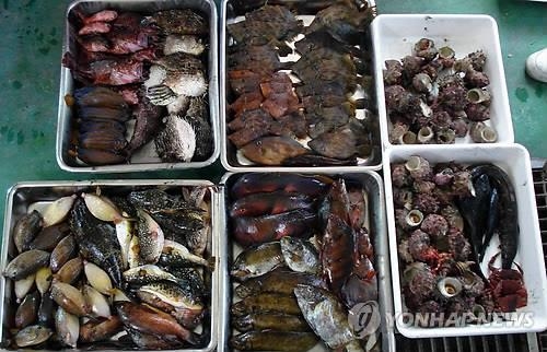 제주 바다 수온 2년새 1.1도 하락…해양 생태계 '혼란' - 3