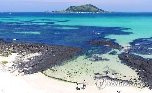 제주 바다생물 "너무 추워 못살겠어요"…2년새 수온 1도 급락(종합) - 2