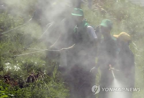 전북 4개 시·군서 일본뇌염모기 첫 발견 - 3