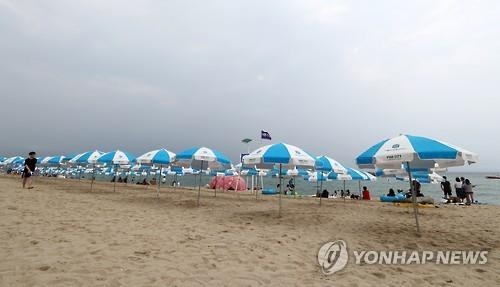 해수욕장 파라솔 이용료…무료에서 3만 원까지 '천차만별' - 3