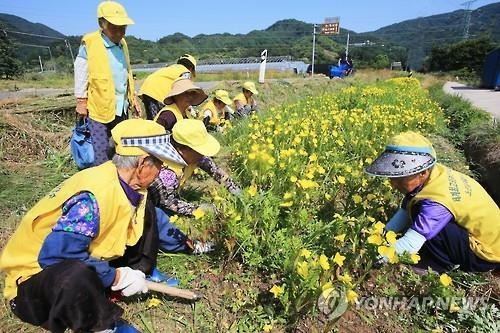 폭염속 밭 매고 하우스 돌보고…일 매달리는 어르신들 '비상' - 2