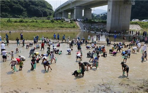 "섬진강서 다슬기 잡아요"…임실서 27∼28일 다슬기 축제 - 3