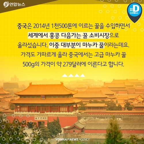 <카드뉴스> 마누카 허니, 뉴질랜드의 것이어야만 허니(honey)? - 5