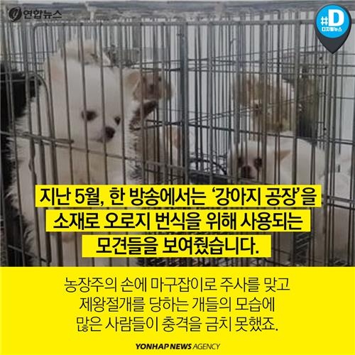<카드뉴스> 배가 아픈데 어디로 가야하냥? 약국, 아니면 병원? - 2