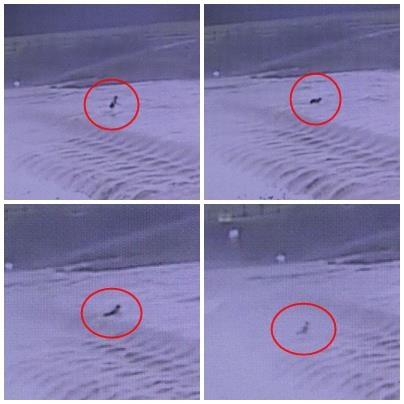 급류에 휩쓸리는 장면