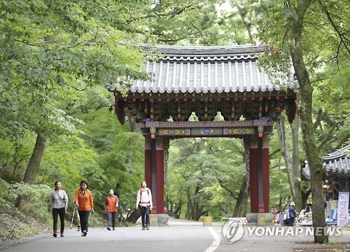 충북 비 그치고 가을 정취 '물씬'…축제장마다 인산인해 - 1