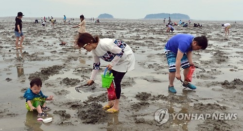 국내 최대 람사르 습지로 지정된 고창갯벌.
