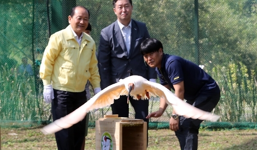 "따오기에 힘차게 날아봐"