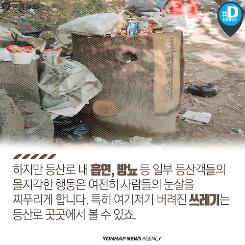 <카드뉴스> 불법 채취, 스릴 산행…가을 등산 문화의 현주소 - 3