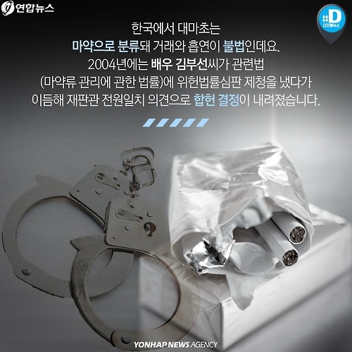 <카드뉴스> 독초? 약초? 각국 의료용 대마 합법화 논란 - 8