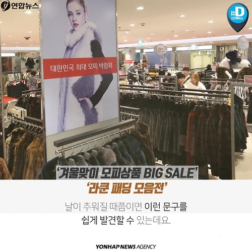 <카드뉴스> 우리가 따뜻해질수록 동물들은 웁니다 - 2